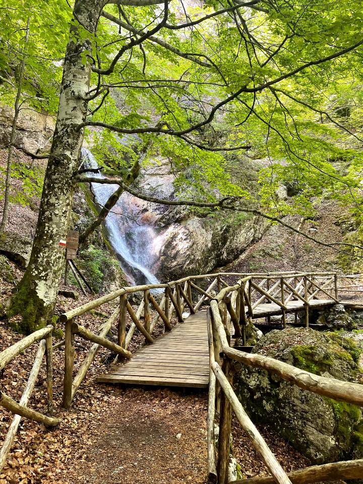Sentieri trekking Val di Rose per avvistamento orso